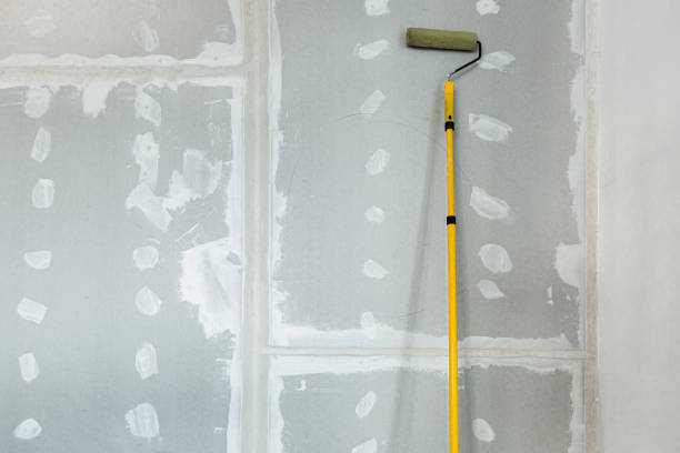 Best Water-Damaged Drywall Repair  in University, MS